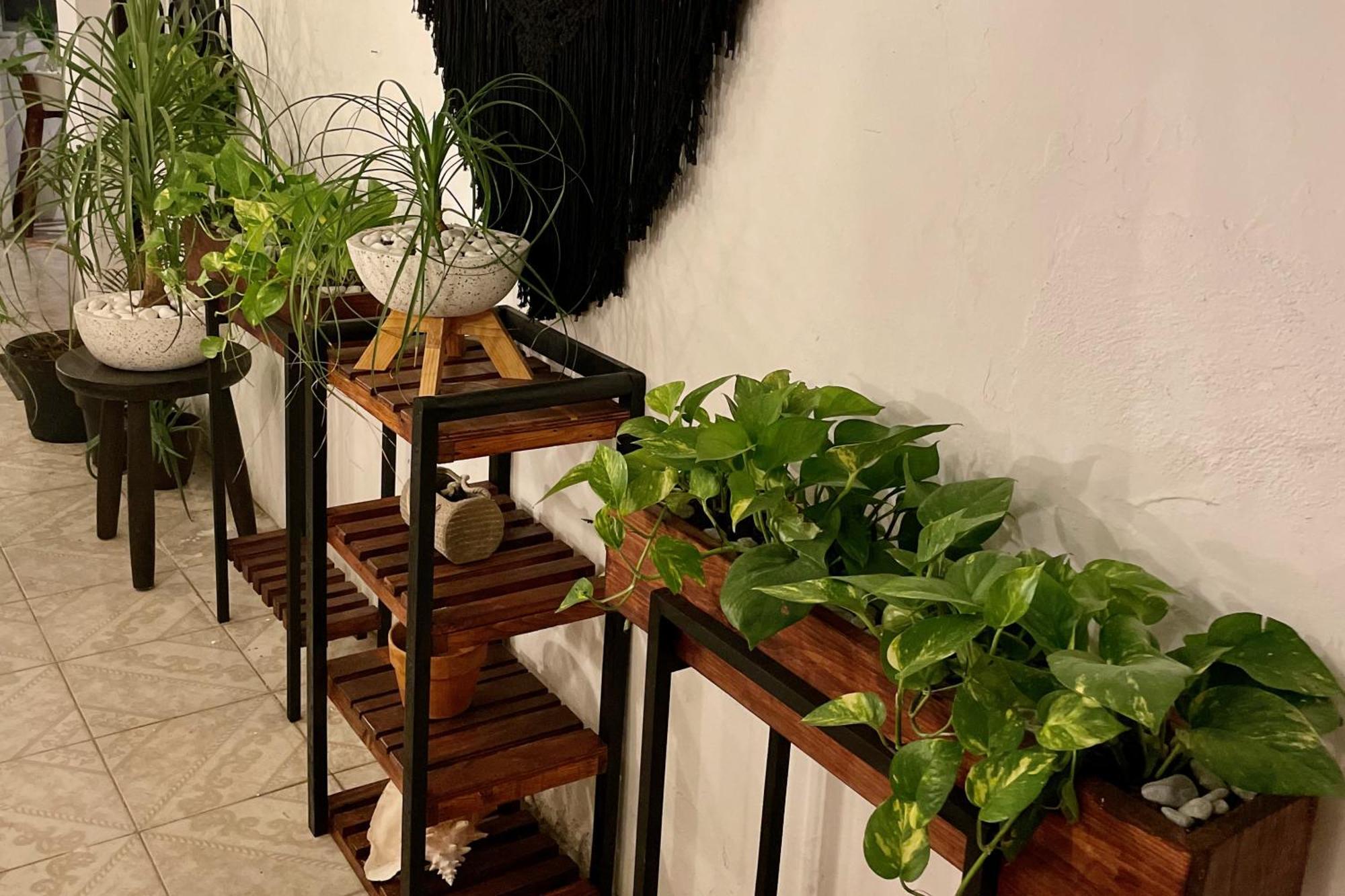 Reno Central Apartments Downtown Cancun Luaran gambar